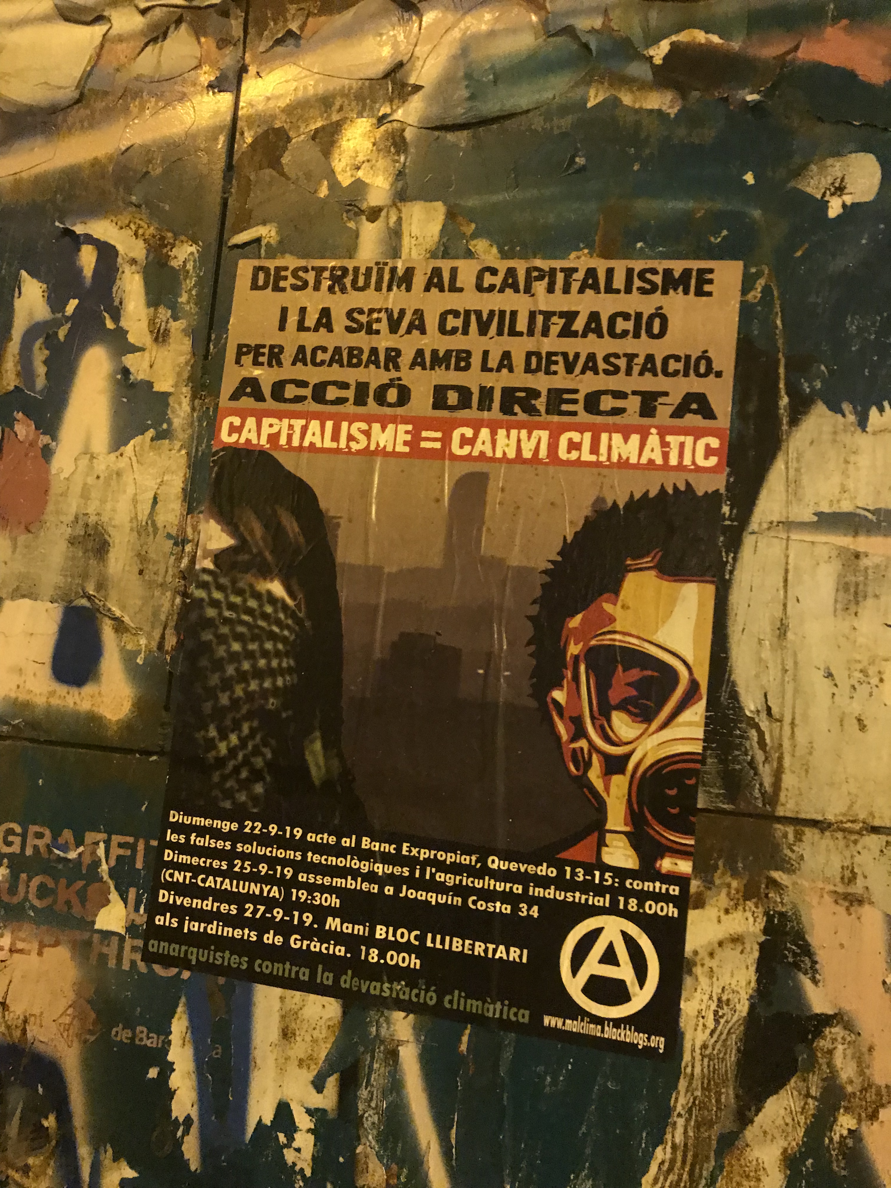 These were beautiful...